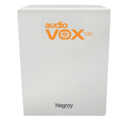 Amplificador de Audio de 100W HAGROY